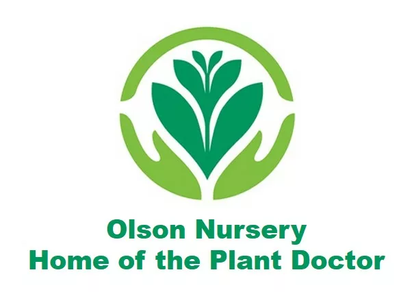 Olson Nursery, Home of the Plant Doctor (Purple)