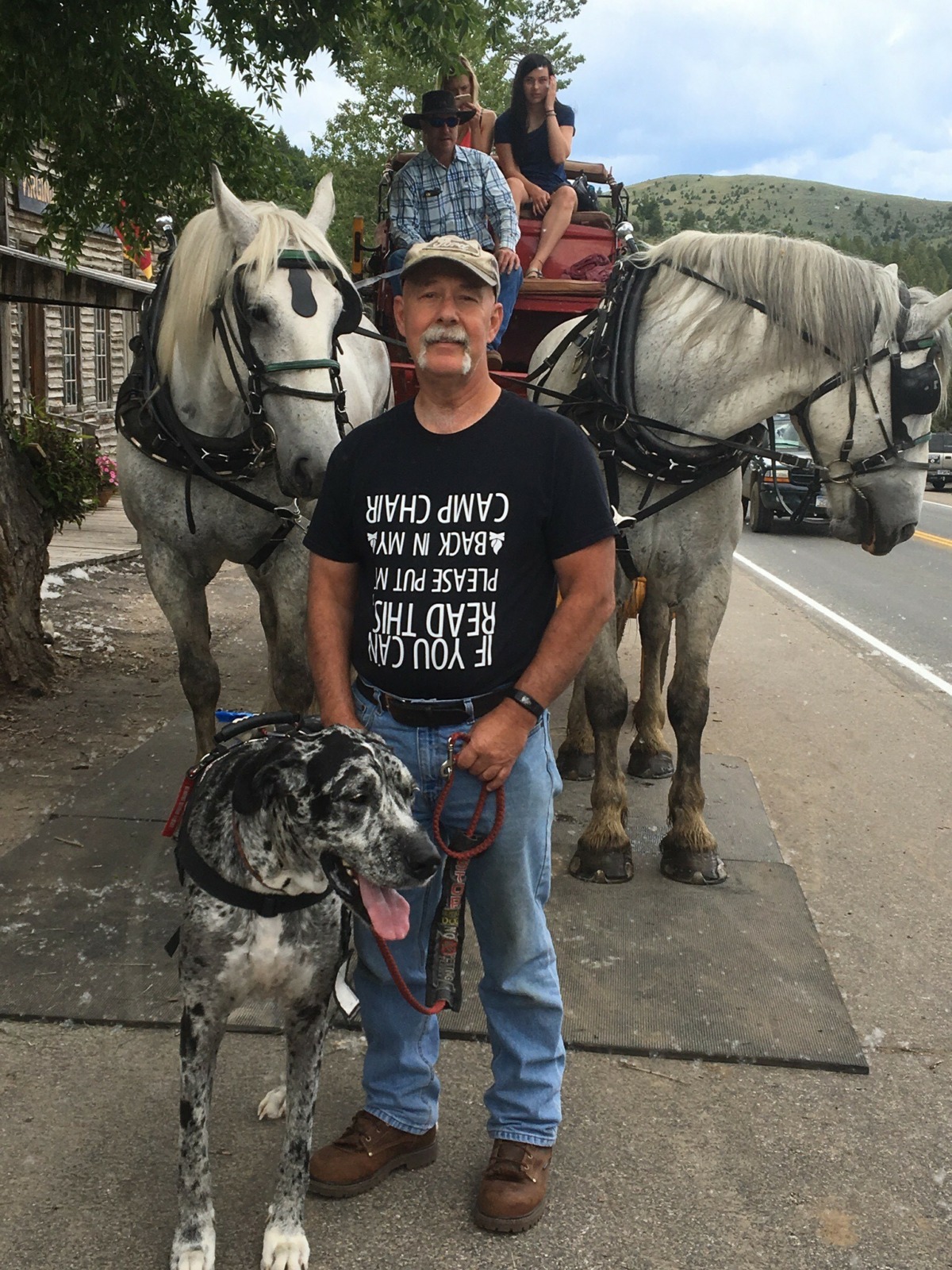 do service dogs enjoy their work